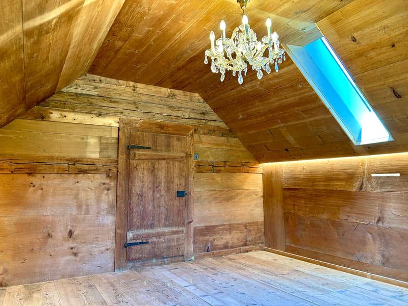Renditeobjekt / Mehrfamilienhaus der besonderen Art - Historisches Haus mit 6 neuwertigen Wohnungen und 2 Studios/Ateliers (10)