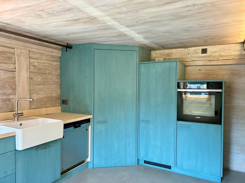 Renditeobjekt / Mehrfamilienhaus der besonderen Art - Historisches Haus mit 6 neuwertigen Wohnungen und 2 Studios/Ateliers (7)