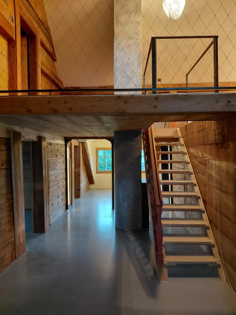 Renditeobjekt / Mehrfamilienhaus der besonderen Art - Historisches Haus mit 6 neuwertigen Wohnungen und 2 Studios/Ateliers (5)