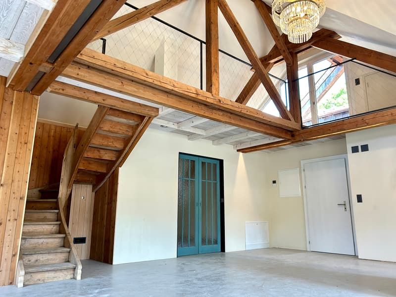 Renditeobjekt / Mehrfamilienhaus der besonderen Art - Historisches Haus mit 6 neuwertigen Wohnungen und 2 Studios/Ateliers (6)
