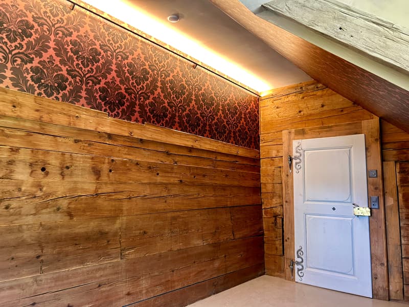 Renditeobjekt / Mehrfamilienhaus der besonderen Art - Historisches Haus mit 6 neuwertigen Wohnungen und 2 Studios/Ateliers (11)