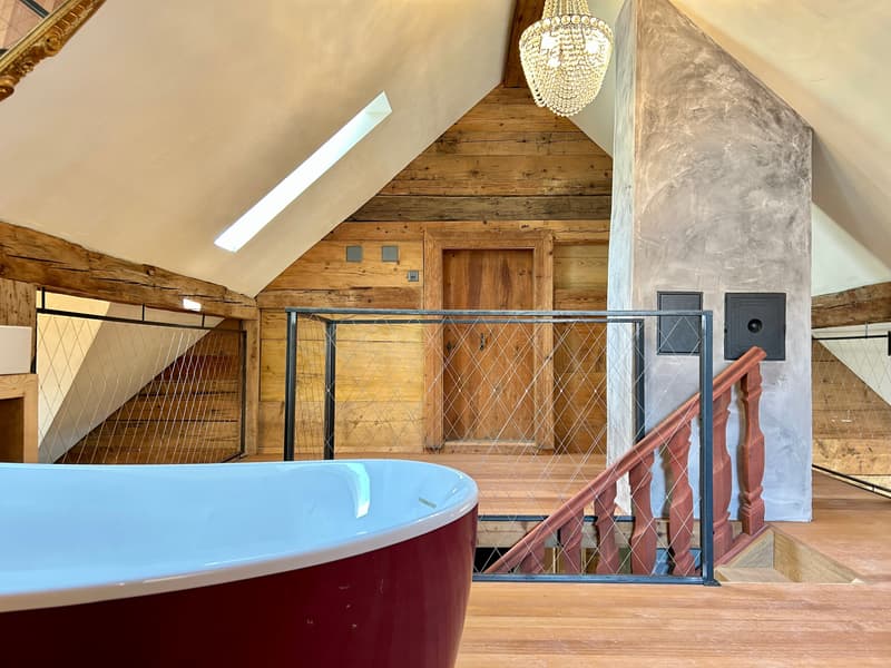 Renditeobjekt / Mehrfamilienhaus der besonderen Art - Historisches Haus mit 6 neuwertigen Wohnungen und 2 Studios/Ateliers (9)
