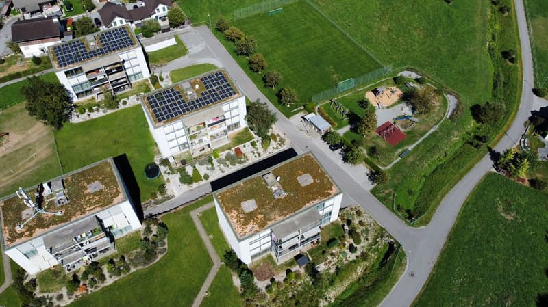 Sonnig wohnen an naturnaher und ruhiger Lage (13)