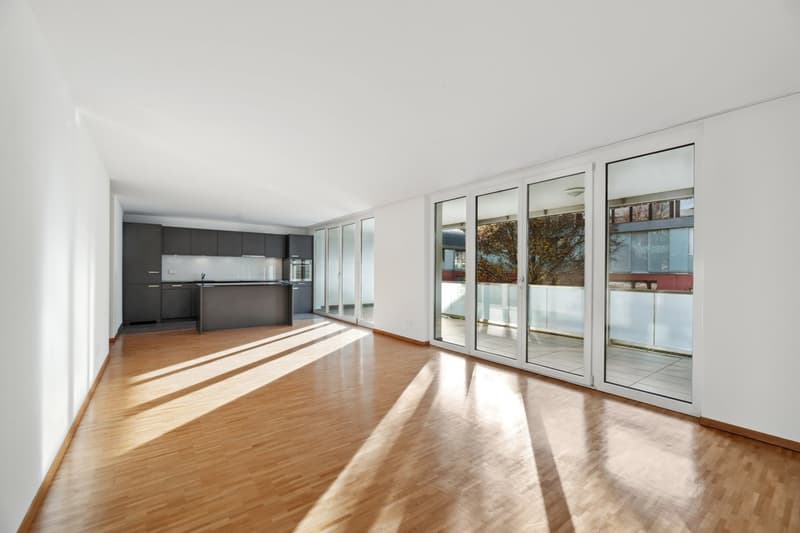 Moderne Wohnung sucht neue Mieter (11)