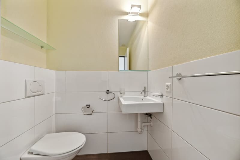 Moderne Wohnung sucht neue Mieter (9)