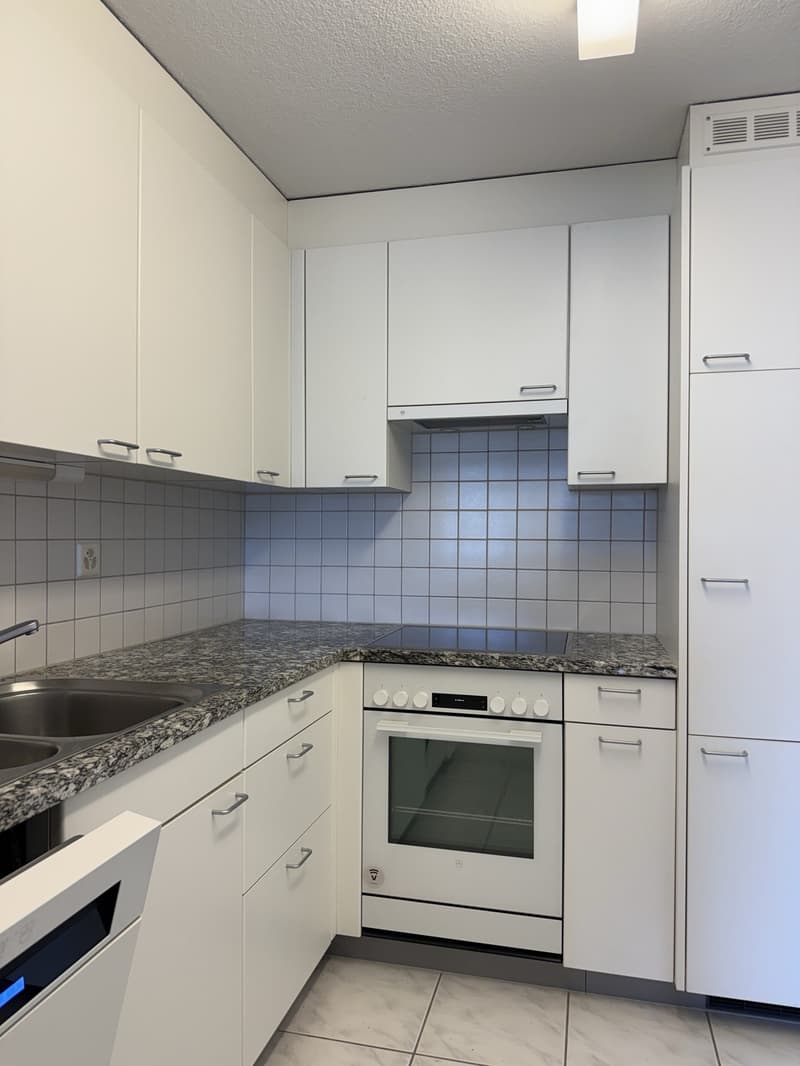 Grosszügige 3-Zimmerwohnung mit Sitzplatz an der Unterortstrasse 14 in Au (4)