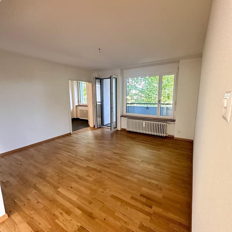 4,5 Zimmerwohnung in Gundeli (3)