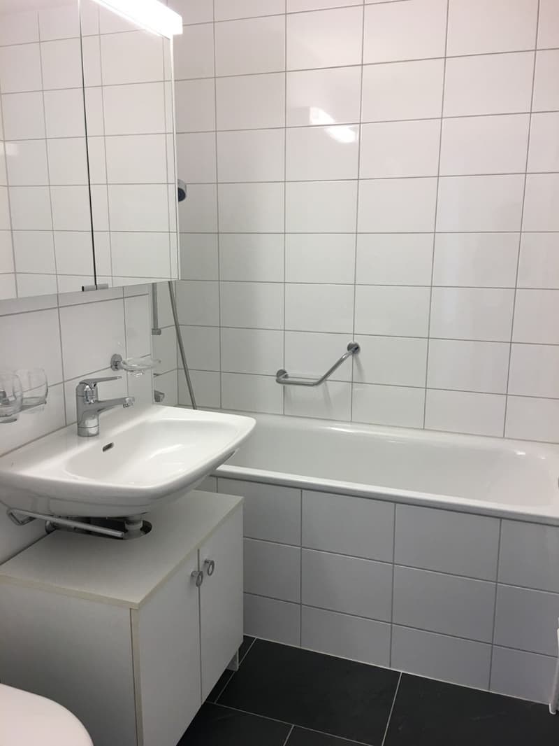 4,5 Zimmerwohnung in Gundeli (6)