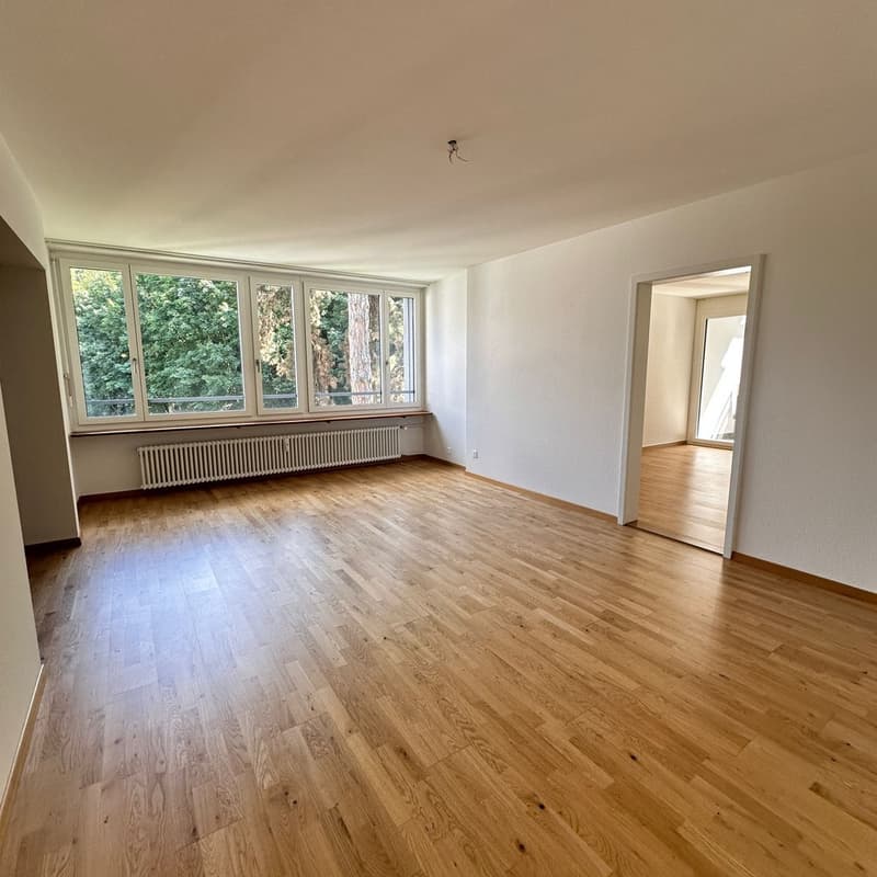 4,5 Zimmerwohnung in Gundeli (2)