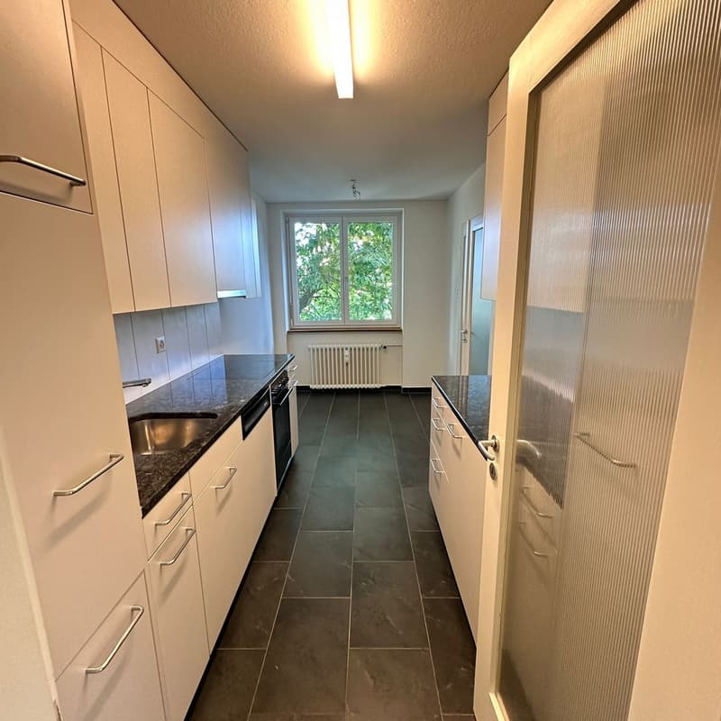 4,5 Zimmerwohnung in Gundeli (5)