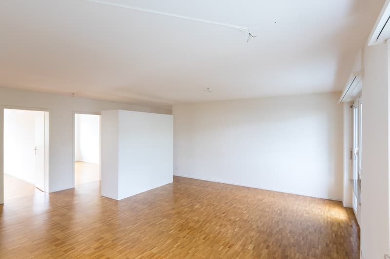 Wohnen in Frenkendorf mit toller Aussicht (3)