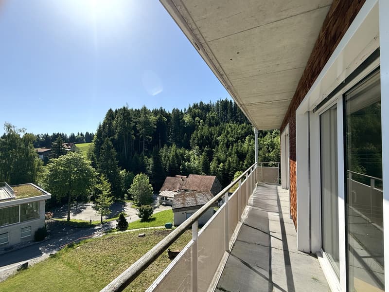 4.5-Zimmer-Wohnung mit grosser Terrasse in Rehetobel kaufen (10)
