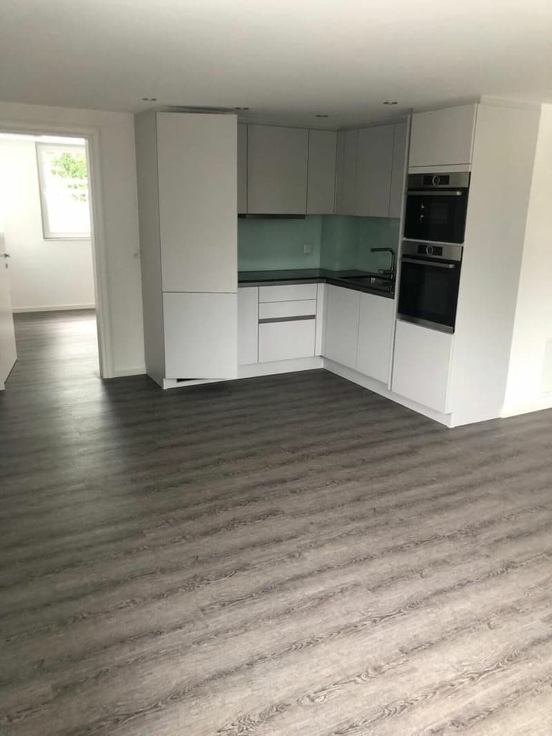Moderne 4.5-Zimmer-Wohnung mit grosser Terrasse in Goldach mieten (3)