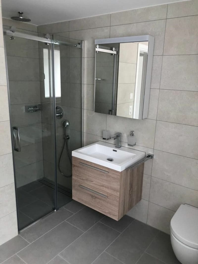 Moderne 4.5-Zimmer-Wohnung mit grosser Terrasse in Goldach mieten (8)