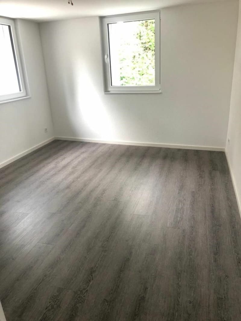 Moderne 4.5-Zimmer-Wohnung mit grosser Terrasse in Goldach mieten (2)