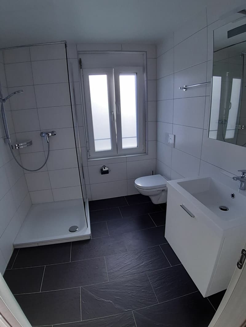 Frisch renovierte 3.5-Zimmer-Wohnung in Wittenbach mieten (6)