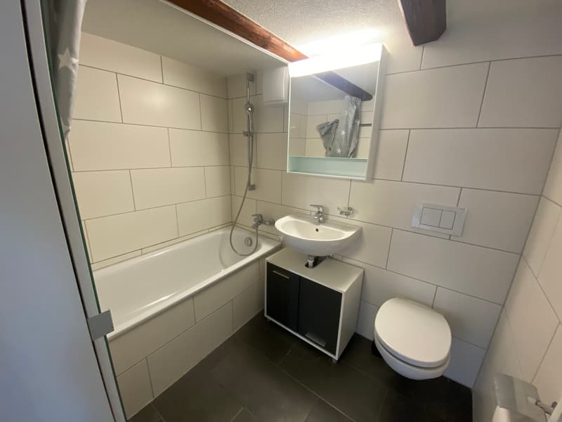 2.5-Zimmer-Wohnung mit Terrasse und Seesicht in Walzenhausen (9)