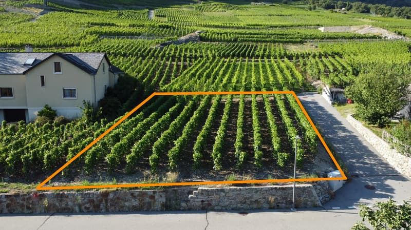 Terrain à bâtir de 532 m² sur le coteau de Fully (2)