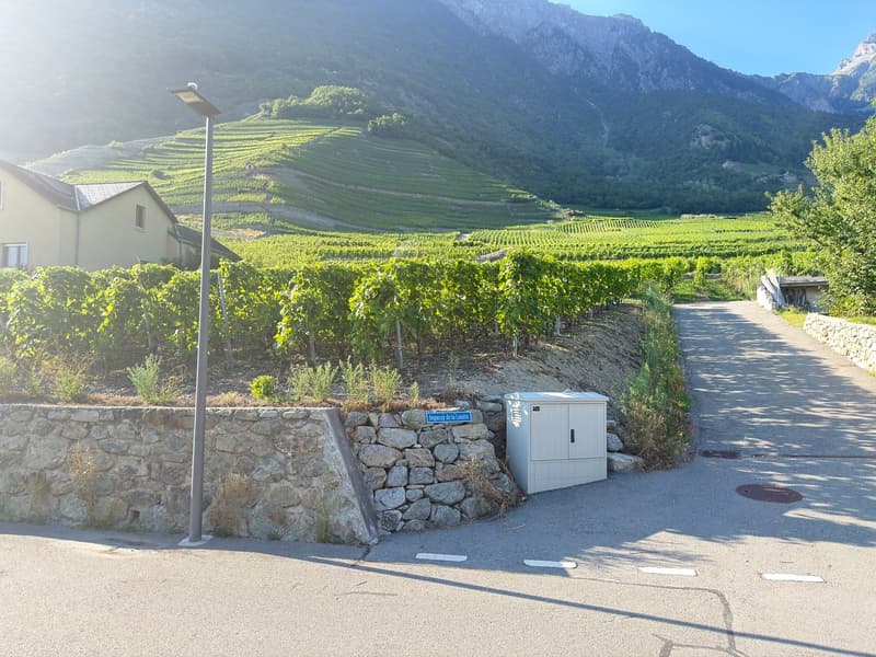 Terrain à bâtir de 532 m² sur le coteau de Fully (3)
