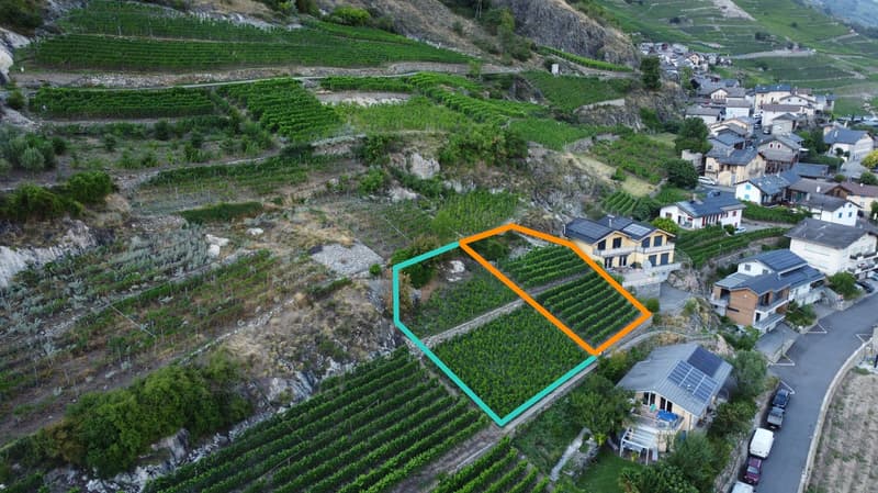 Terrain à bâtir de 988 m² sur le coteau de Branson à Fully – Opportunité rare (2)