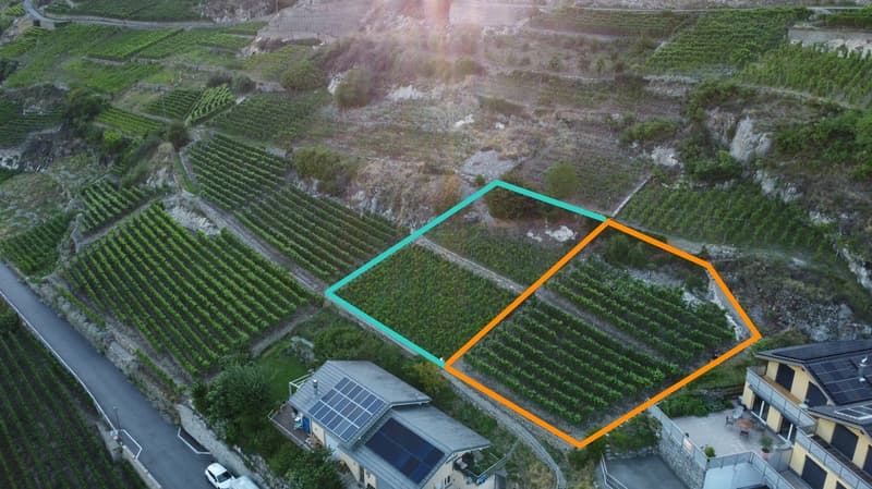 Terrain à bâtir de 988 m² sur le coteau de Branson à Fully – Opportunité rare (3)