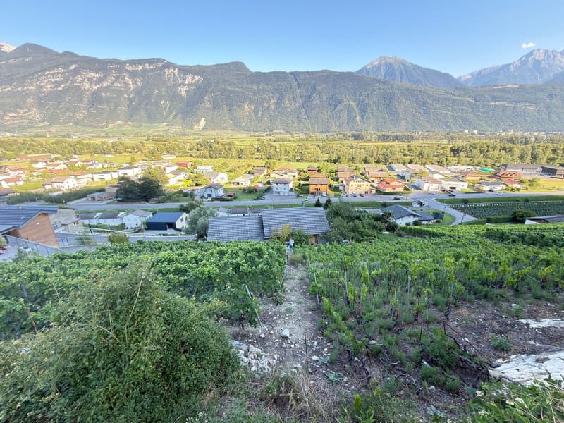 Terrain à bâtir de 988 m² sur le coteau de Branson à Fully – Opportunité rare (4)