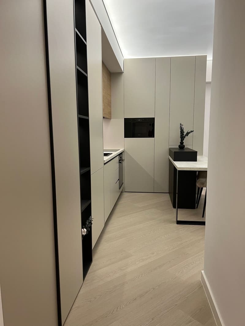 Charming 2-Room Apartment in Zürich's Vibrant District 4 (3)