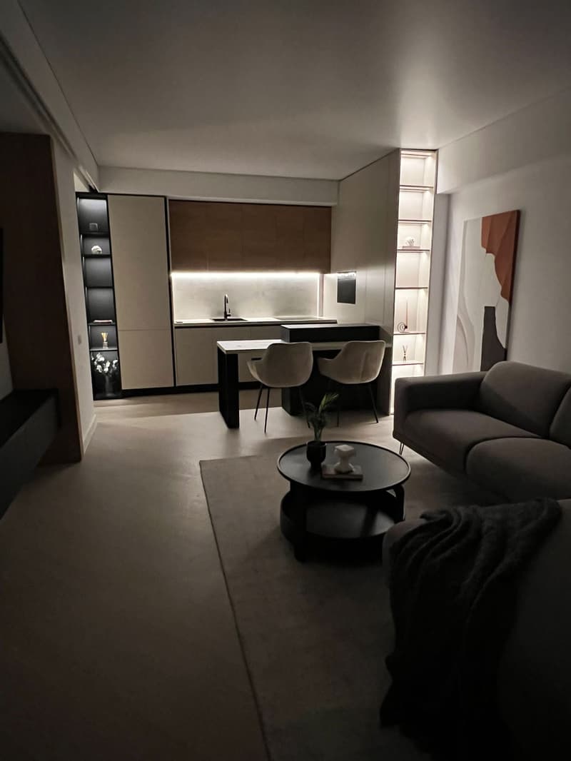 Charming 2-Room Apartment in Zürich's Vibrant District 4 (8)