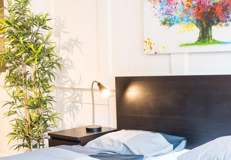 Charming Studio Apartment in the Heart of Zürich's Niederdorf (7)
