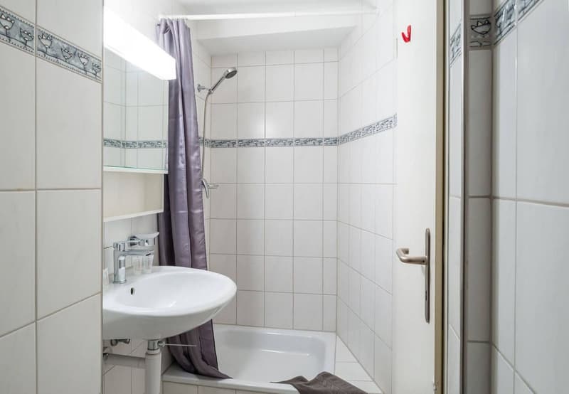 Charming Studio Apartment in the Heart of Zürich's Niederdorf (11)