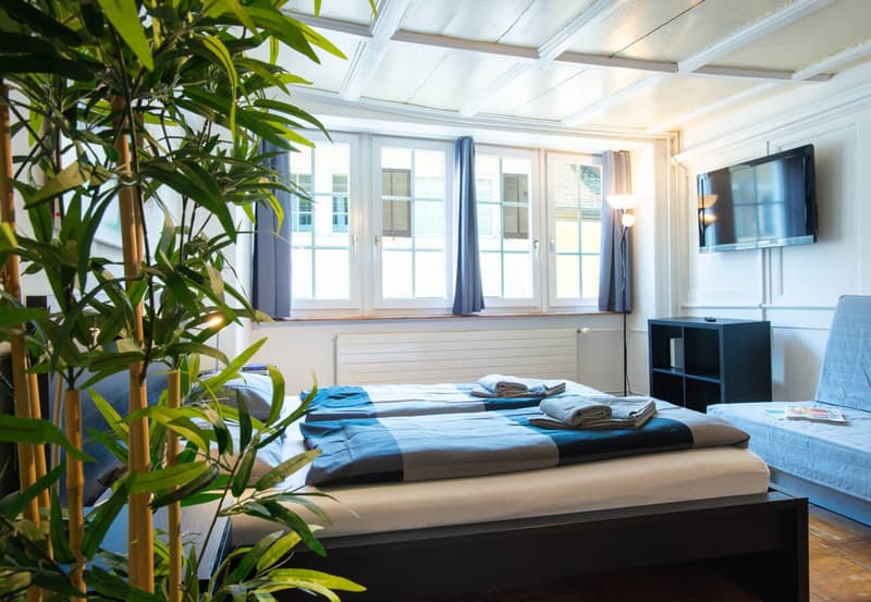 Charming Studio Apartment in the Heart of Zürich's Niederdorf (4)