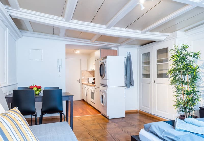 Charming Studio Apartment in the Heart of Zürich's Niederdorf (3)