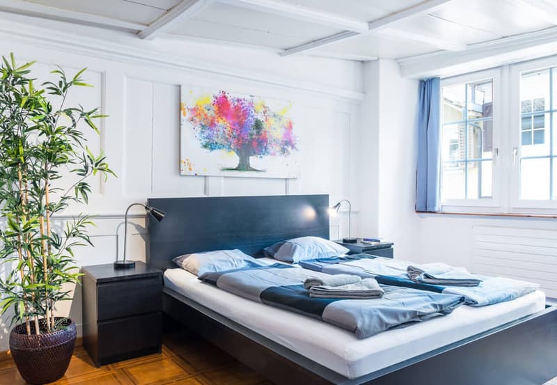 Charming Studio Apartment in the Heart of Zürich's Niederdorf (6)