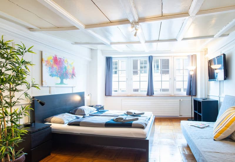 Charming Studio Apartment in the Heart of Zürich's Niederdorf (5)