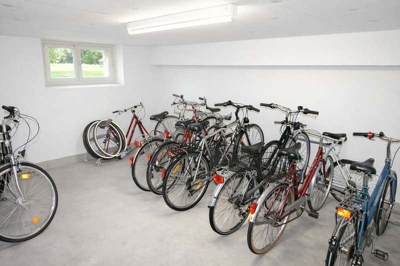 3.5 Zimmer Wohnung EG - städtische Wohnlage (8)
