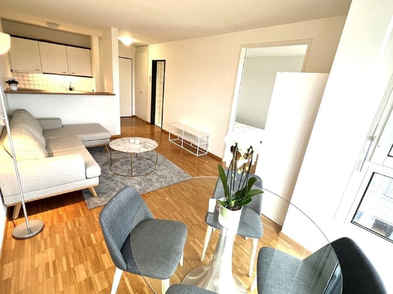 Gemütliche 2-Zimmer-Wohnung an zentraler Lage in Zug (6)