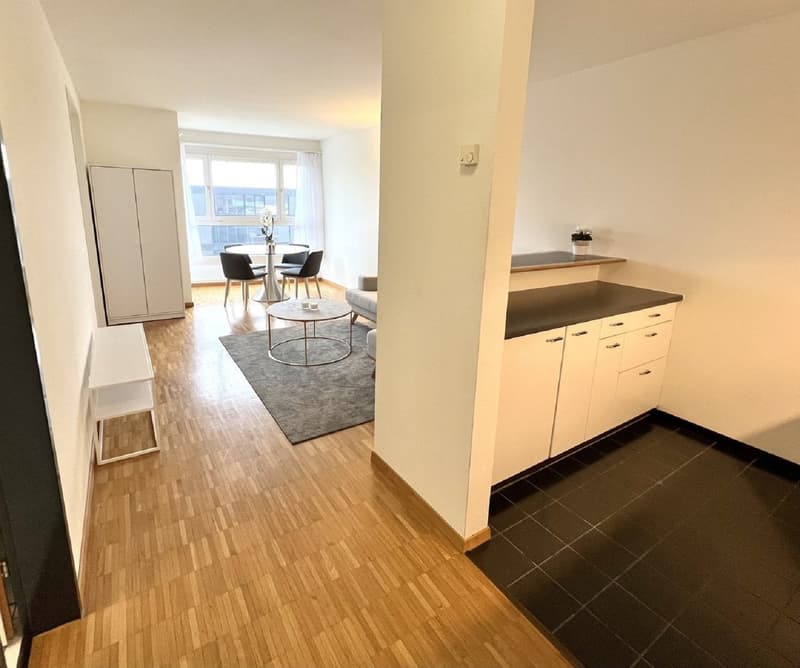 Gemütliche 2-Zimmer-Wohnung an zentraler Lage in Zug (8)