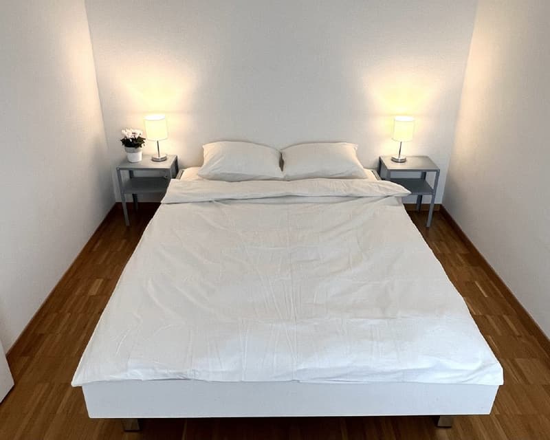 Gemütliche 2-Zimmer-Wohnung an zentraler Lage in Zug (3)