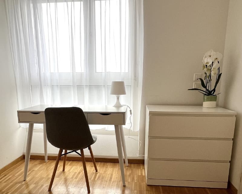 Gemütliche 2-Zimmer-Wohnung an zentraler Lage in Zug (2)