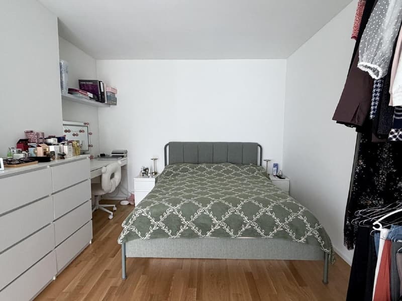 2 ½ Zimmer-Attikawohnung, 8045 Zurich (7)
