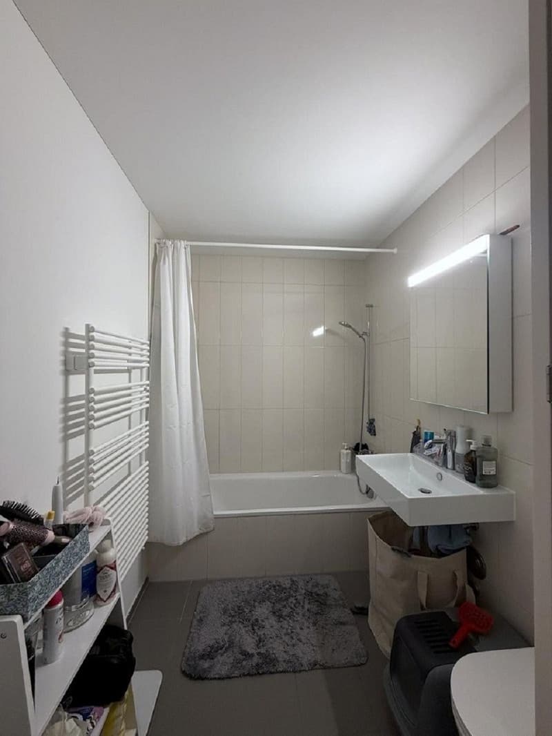 2 ½ Zimmer-Attikawohnung, 8045 Zurich (1)