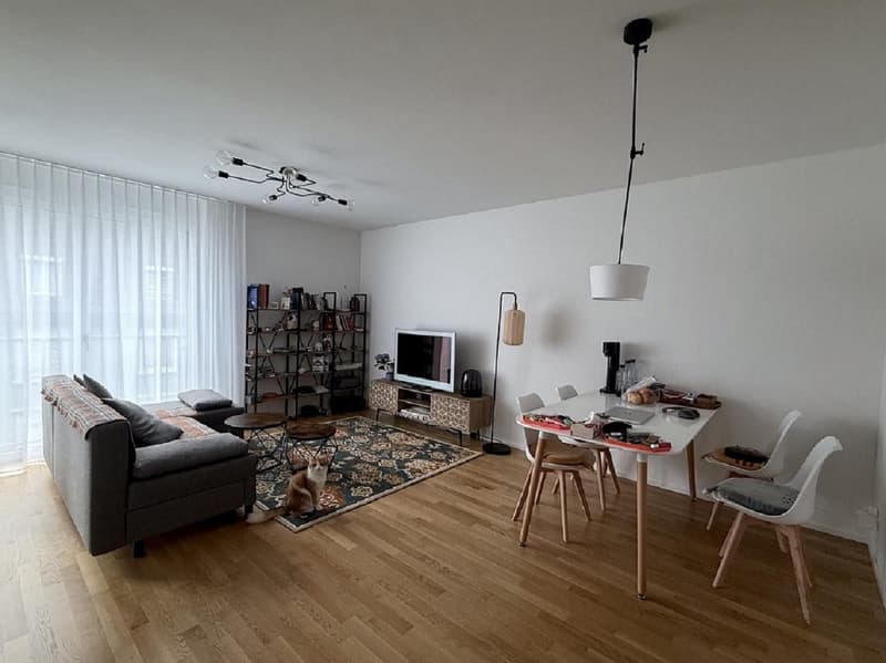 2 ½ Zimmer-Attikawohnung, 8045 Zurich (3)