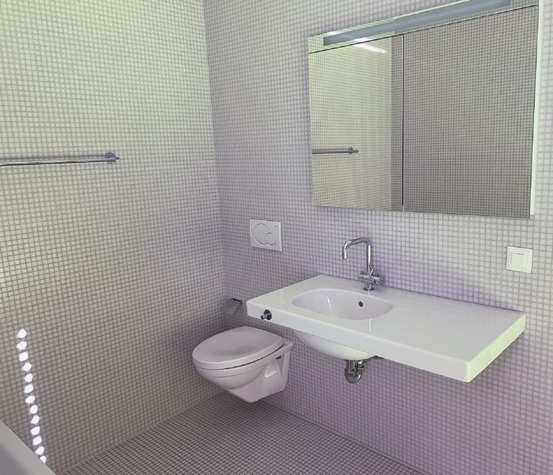 Helle 2,5-Zimmer-Wohnung mit Balkon in Binningen sofort verfügbar! (7)