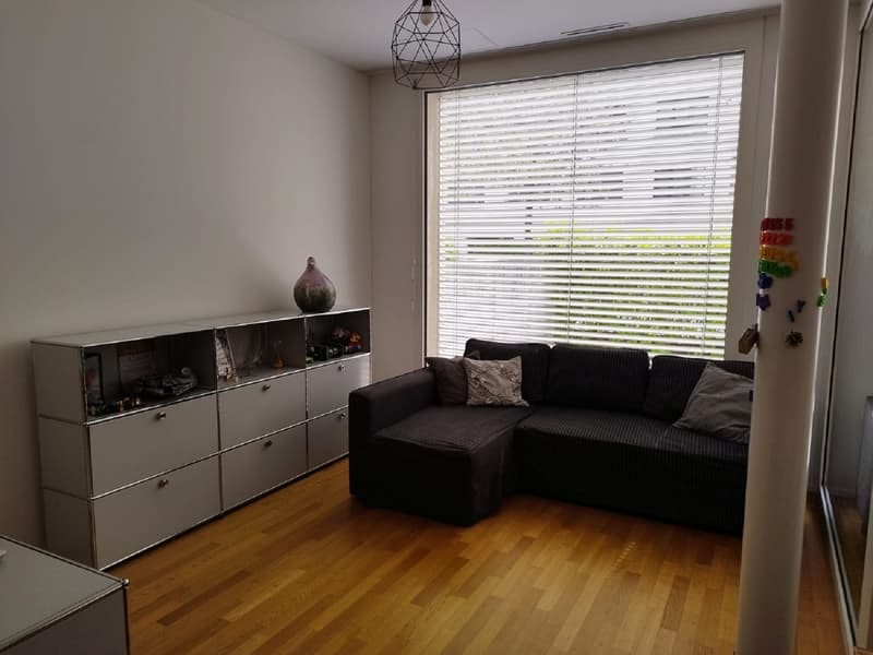 Helle 3-Zimmer-Wohnung mit Balkon in Dietikon sofort verfügbar! (5)