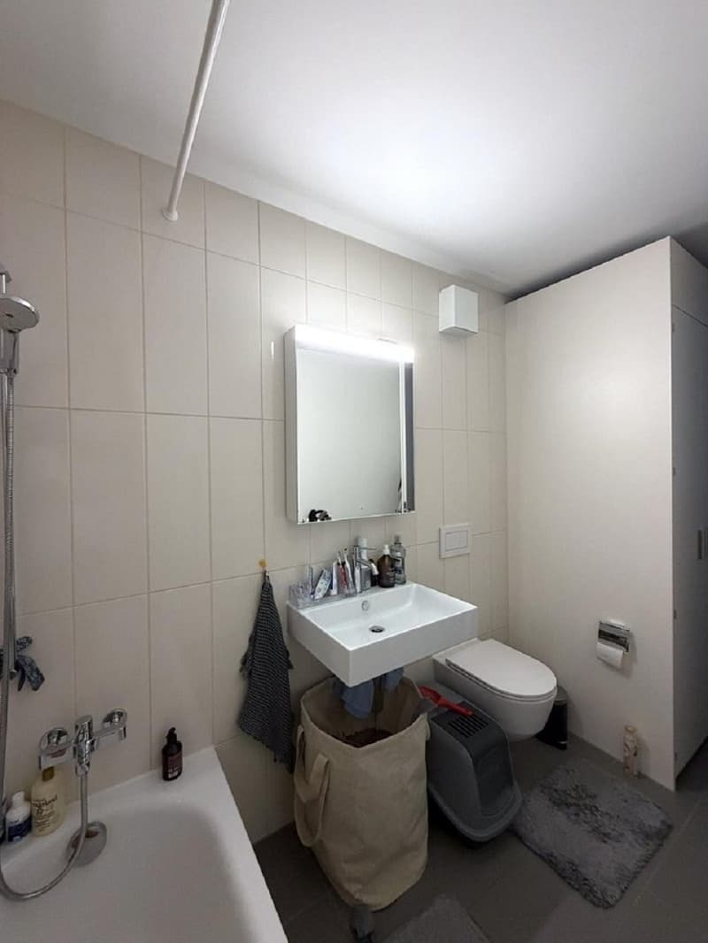 Moderne 2.5-Zimmer-Wohnung mit Balkon und Stadtblick in Zürich-Binz (6)