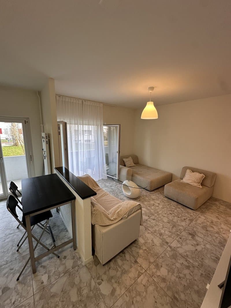 Helle 3-Zimmer-Wohnung mit Balkon in Zürich-Schwamendingen (3)