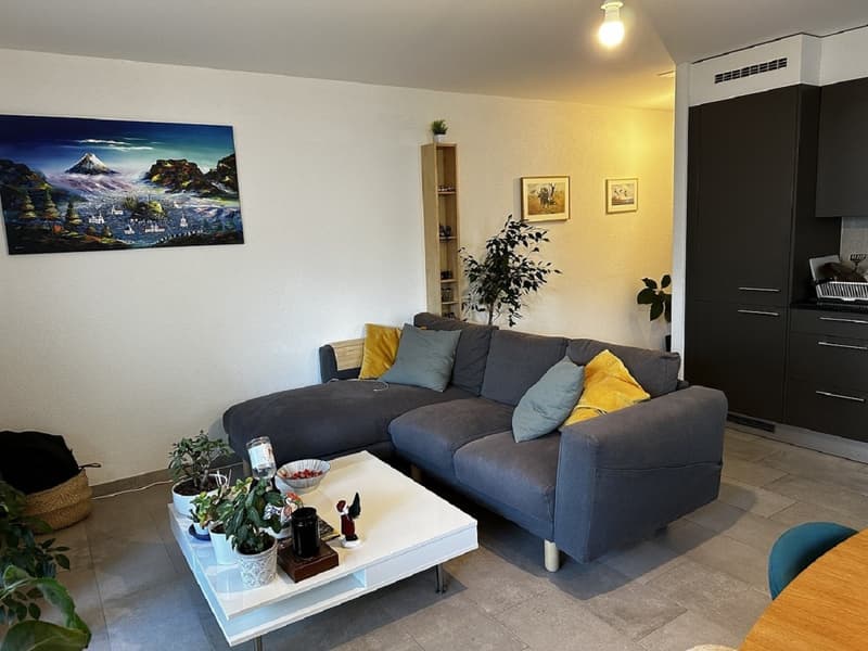 Moderne 2 pièces appartement avec balcon à Lausanne-Sévelin (3)