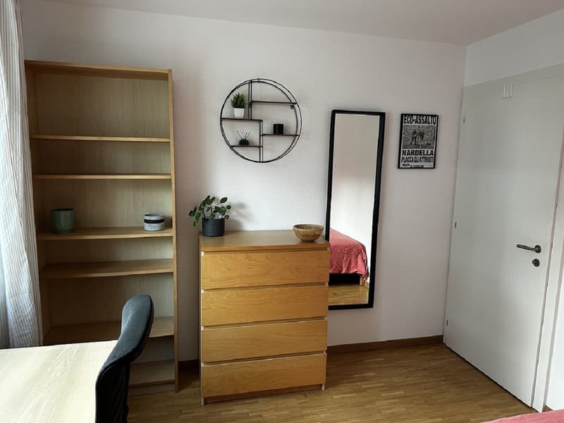 Moderne 2 pièces appartement avec balcon à Lausanne-Sévelin (4)