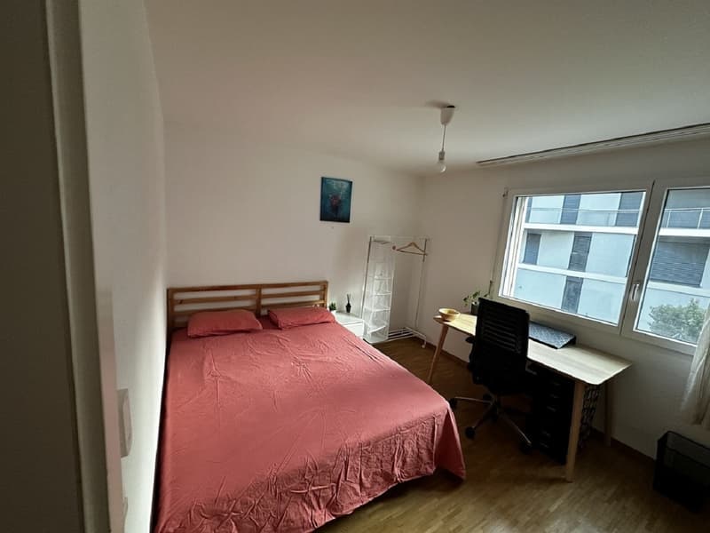 Moderne 2 pièces appartement avec balcon à Lausanne-Sévelin (2)