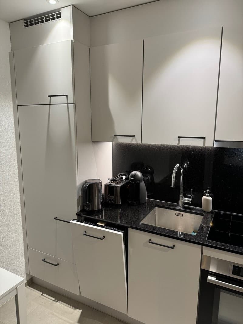 1 ,5 Zimmer-Wohnung in Zürich (4)